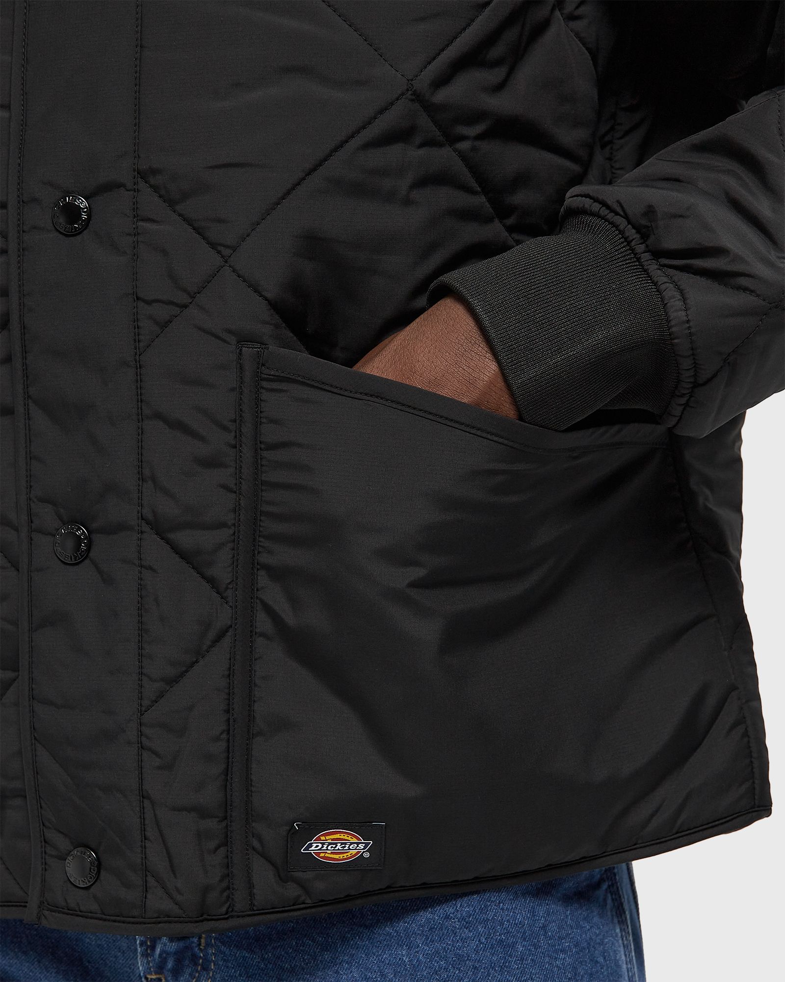 SAMBURG LINER JACKET