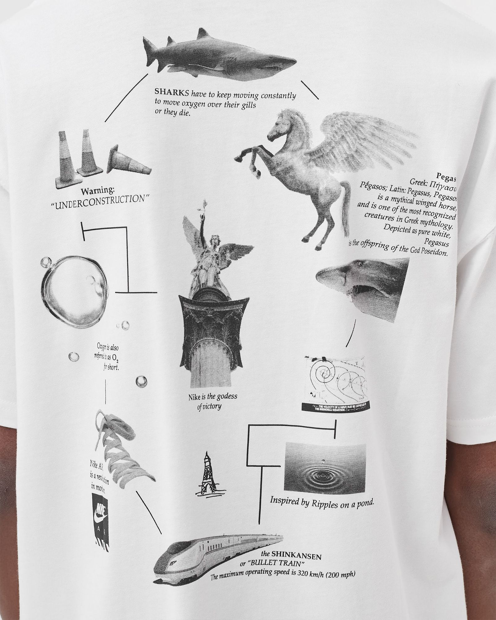 NRG TEE PEGASUS