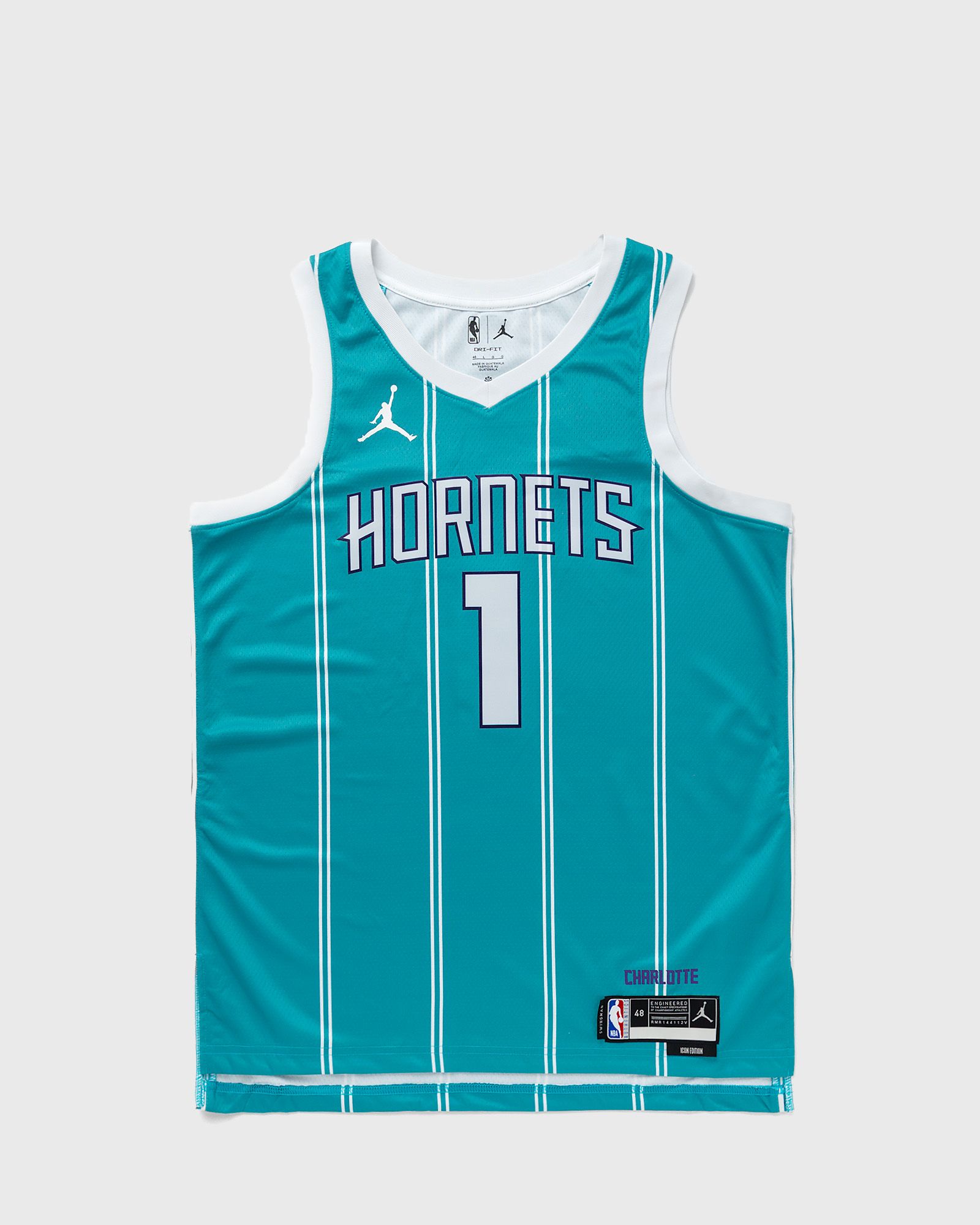Charlotte Hornets Icon Edition 2022/23 Jordan Dri-FIT NBA Swingman Trikot