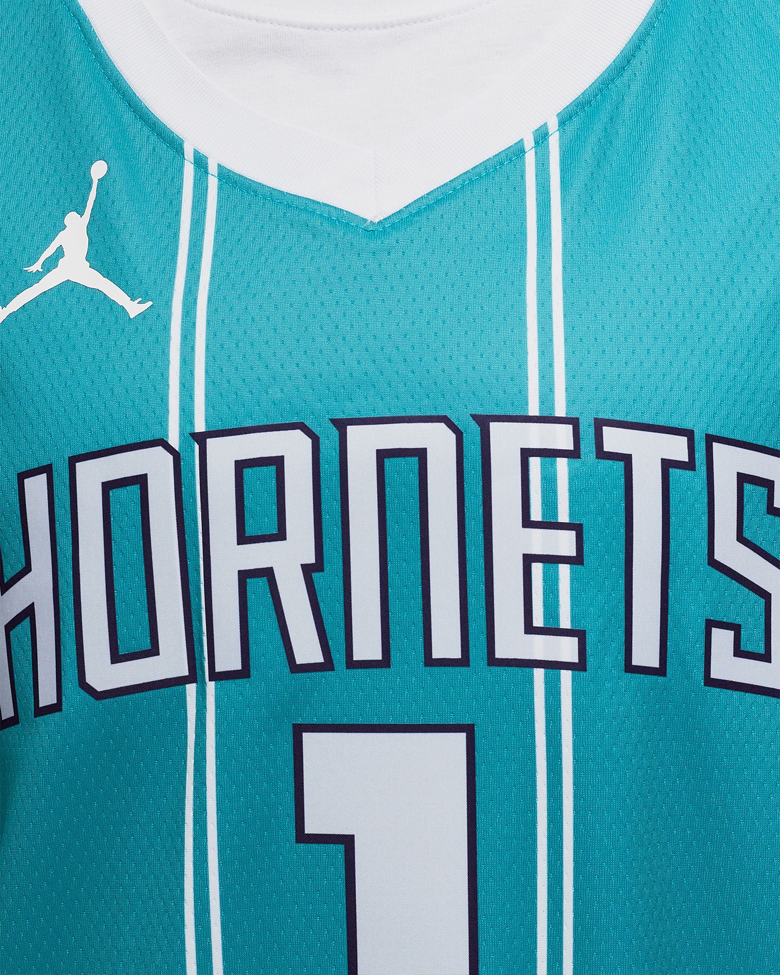 Charlotte Hornets Icon Edition 2022/23 Jordan Dri-FIT NBA Swingman Trikot
