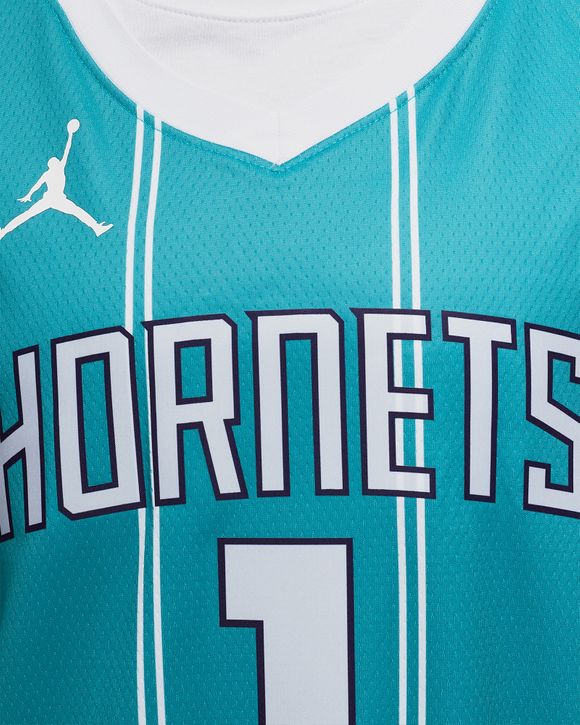 Charlotte Hornets Icon Edition 2022/23 Jordan Dri-FIT NBA Swingman