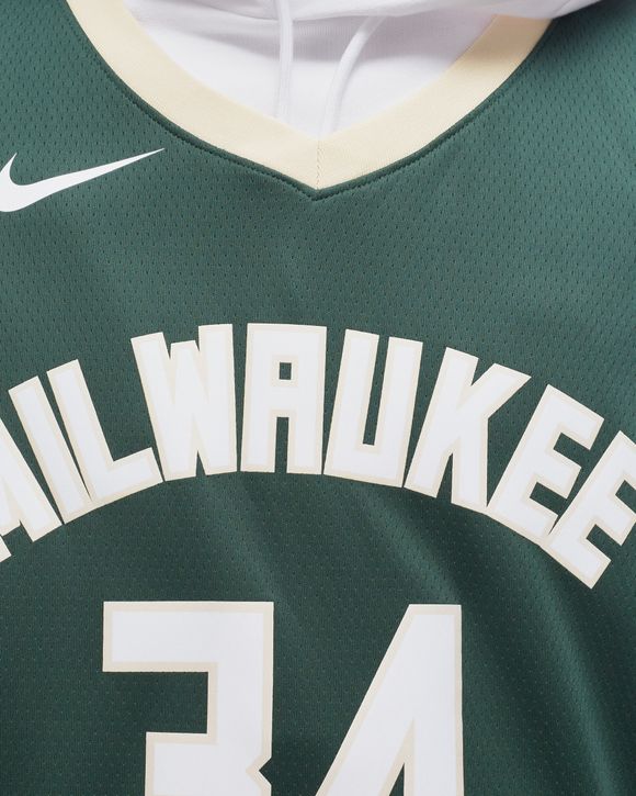 Nike NBA Milwaukee Bucks Icon Antetokounmpo #34 Jersey