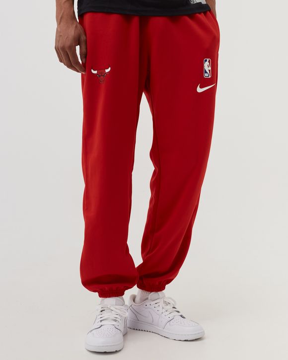 Youth Nike Red Chicago Bulls Spotlight Performance Pants