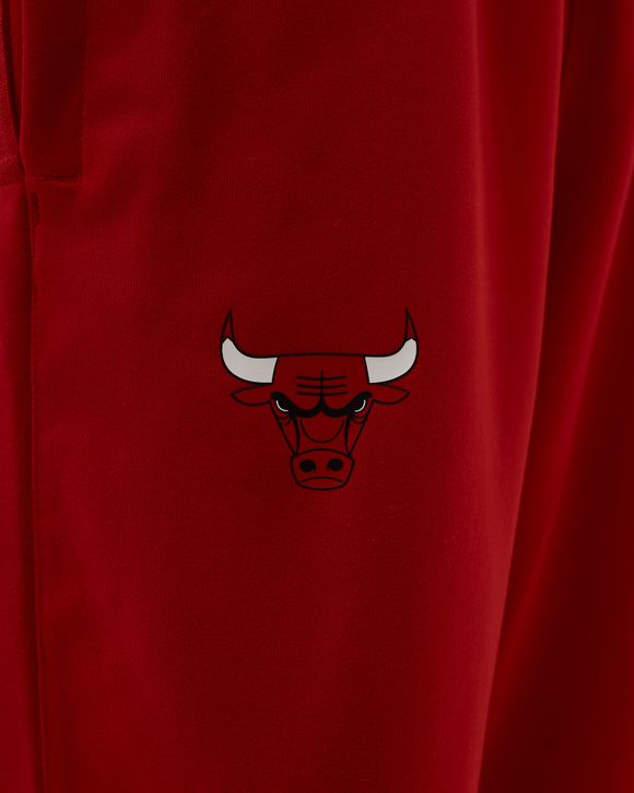 Chicago Bulls Spotlight Dri-FIT NBA Pants