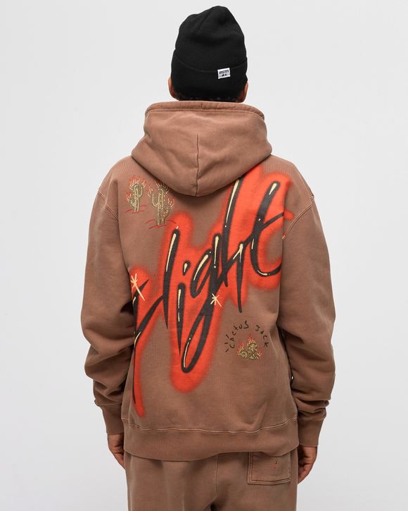 NIKE ナイキ ×TRAVIS SCOTT ARCHAEO HOODIE トラヴィススコット アーキオ フーディー スウェット パーカー ブラウン DO4093-256