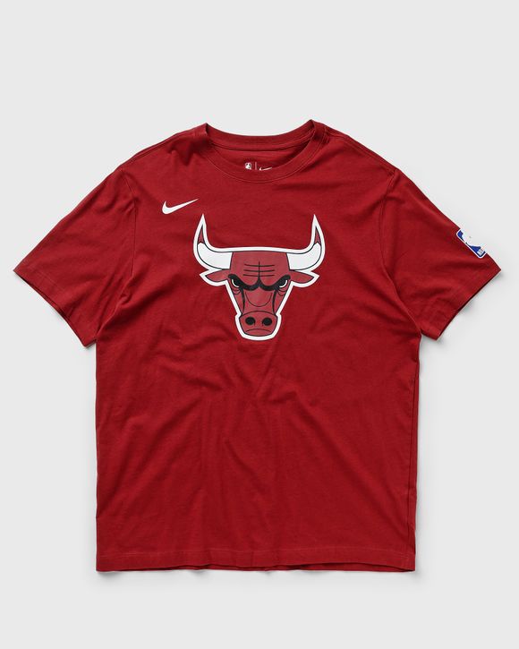 Chicago Bulls Nike City Edition Logo Performance T-Shirt Men's 2020  NBA Flag New