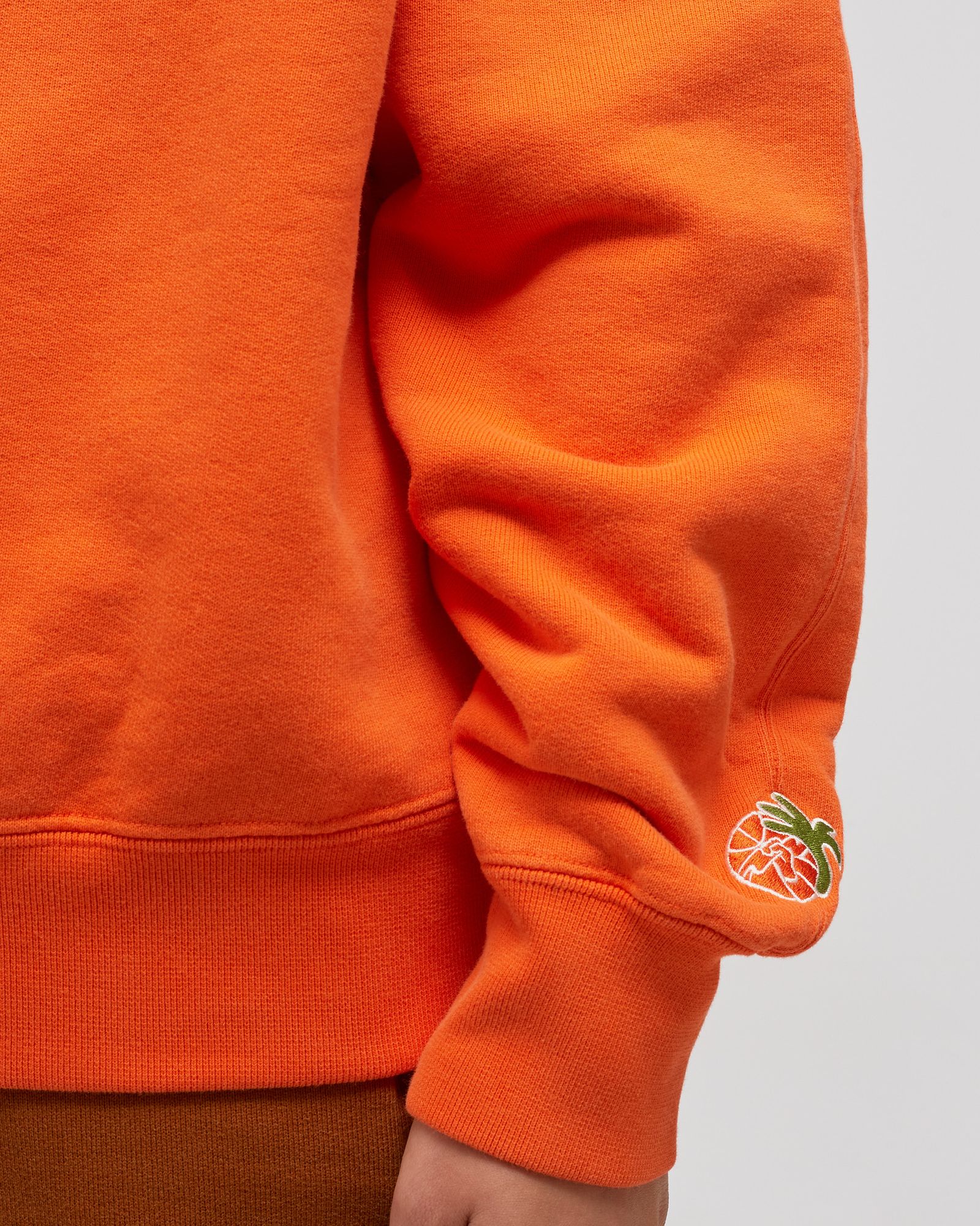 TITAN X WMNS AIR JORDAN CREWNECK