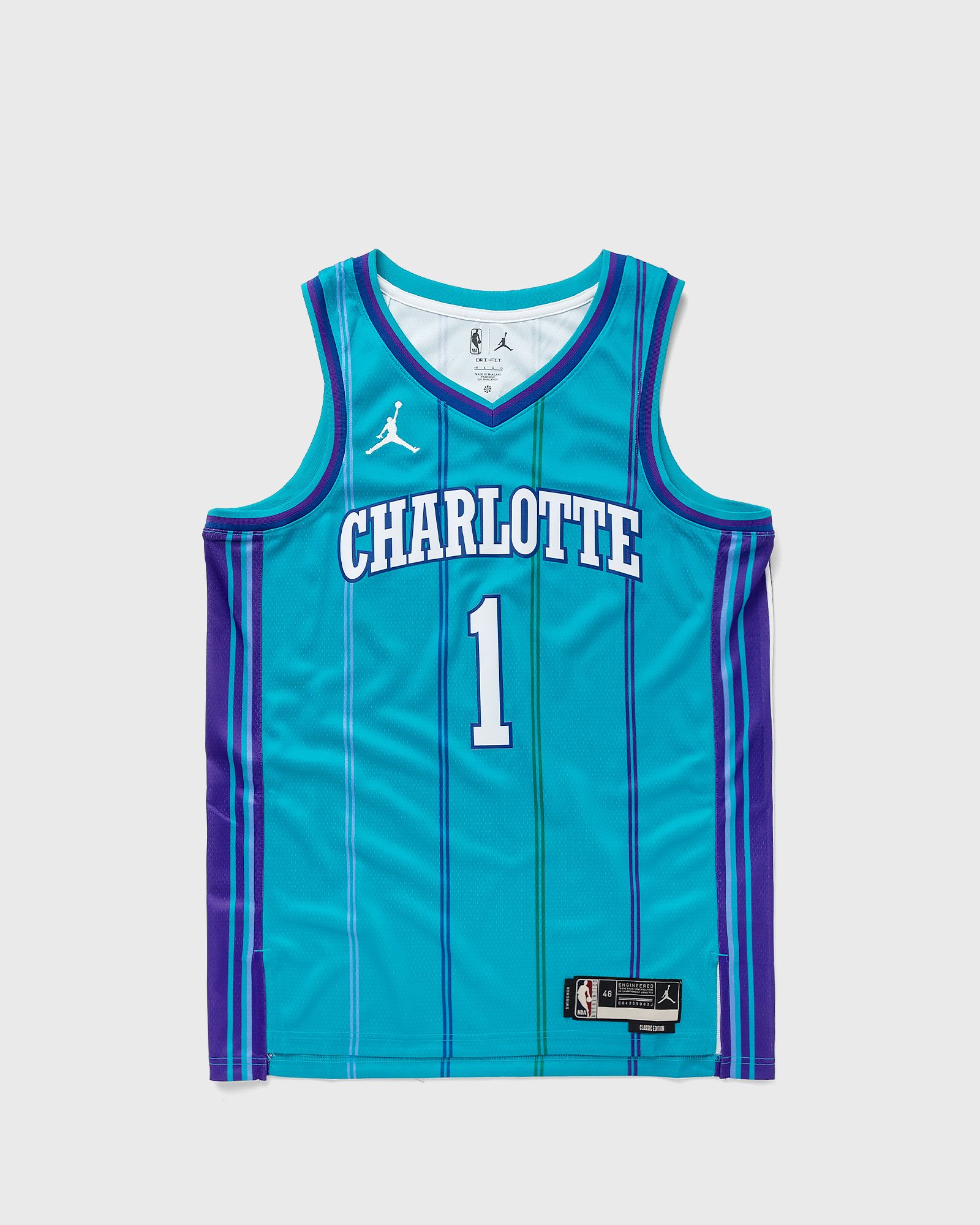 Charlotte Hornets 2023/24 Dri-FIT NBA Swingman Jersey
