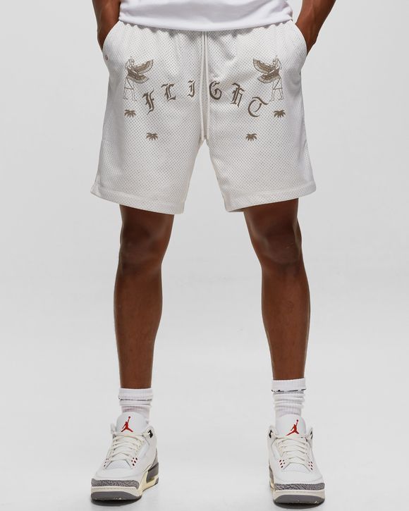 JORDAN FLIGHT ARTIST SERIES MESH SHORTS