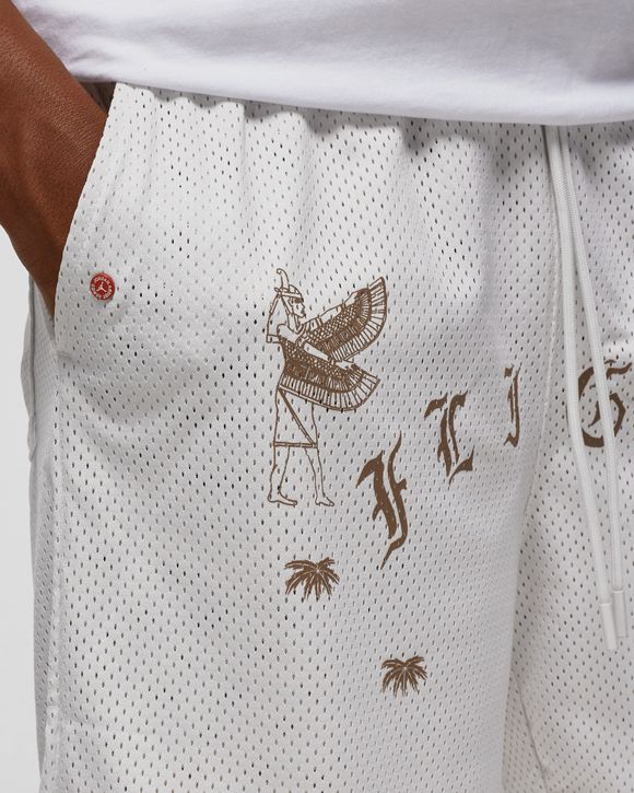 JORDAN FLIGHT ARTIST SERIES MESH SHORTS