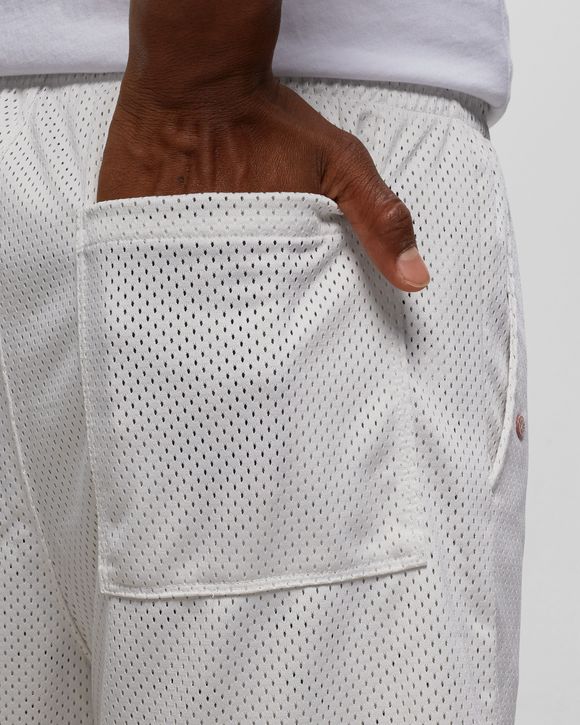 JORDAN FLIGHT ARTIST SERIES MESH SHORTS