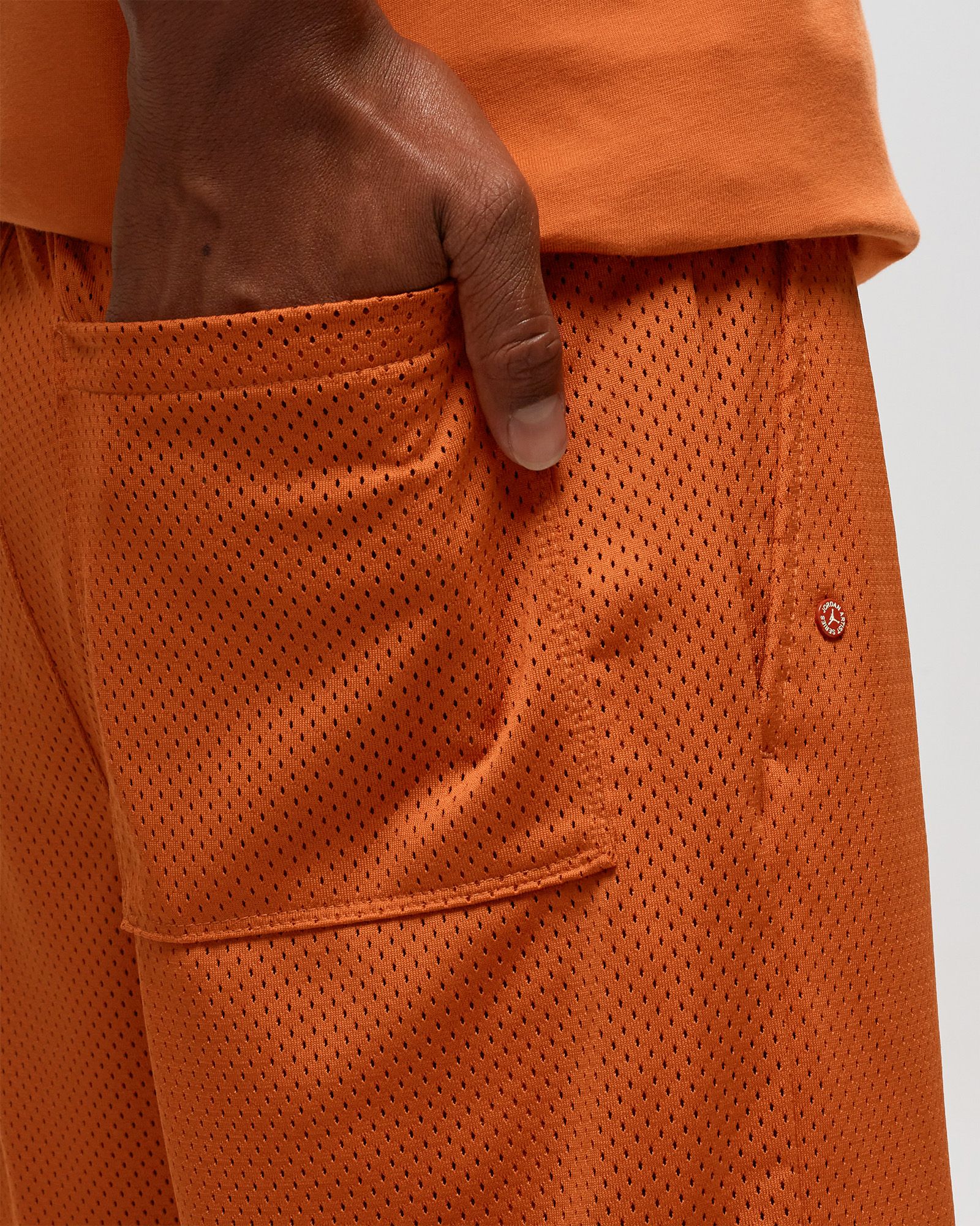 JORDAN FLIGHT ARTIST SERIES MESH SHORTS