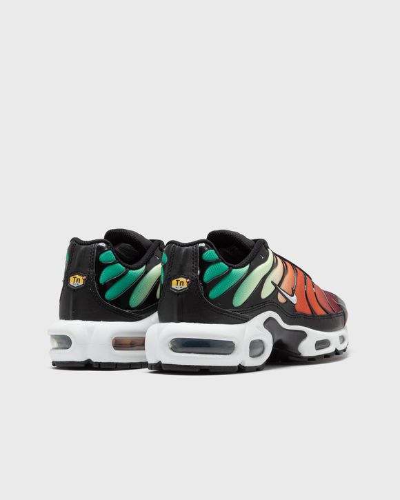 Nike WMNS AIR MAX PLUS Black Multi BSTN Store