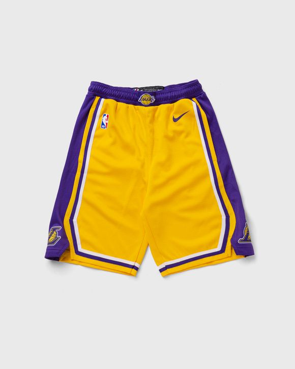 Nike LOS ANGELES LAKERS - ICON SWINGMAN SHORT Purple