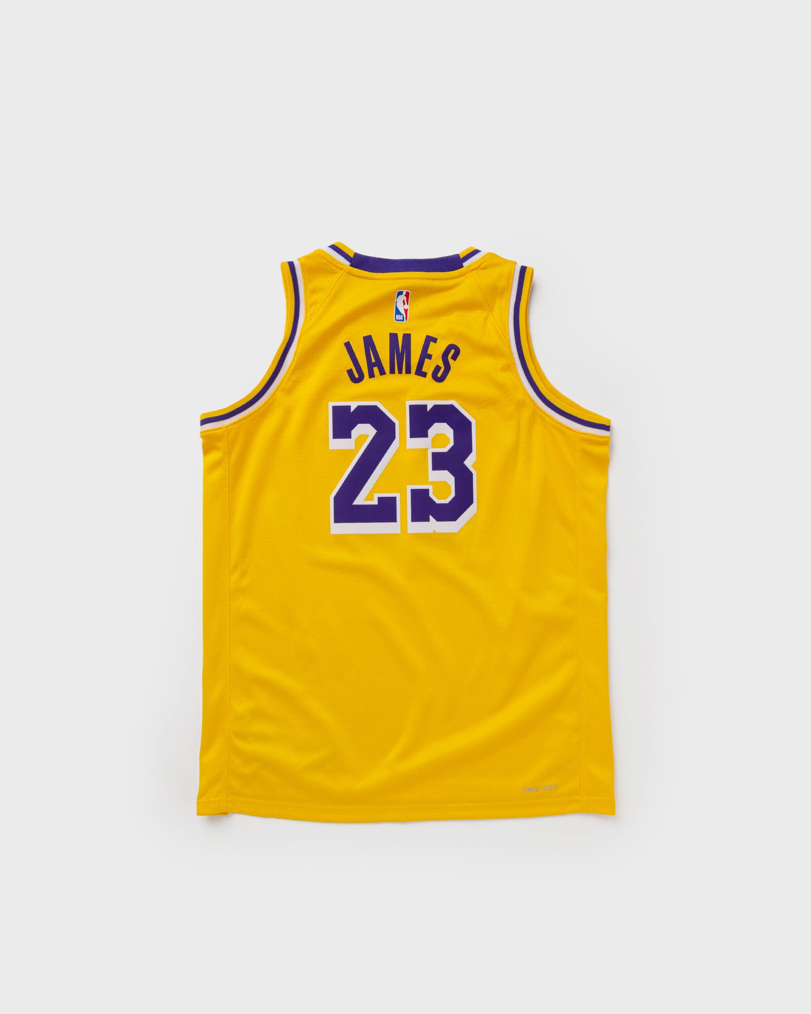 NBA SWINGMAN JERSEY LOS ANGELES LAKERS ICON LEBRON JAMES #23