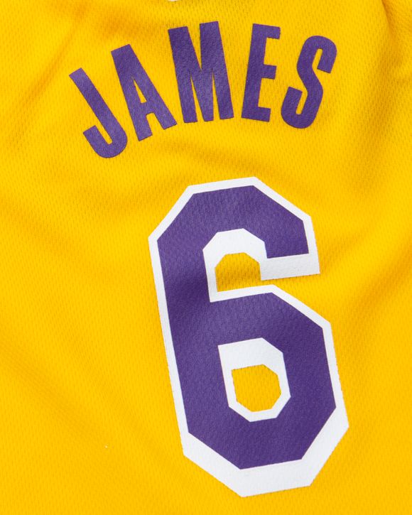 Nike LOS ANGELES LAKERS BOYS REPLICA ONESIE JERSEY - LEBRON JAMES Multi