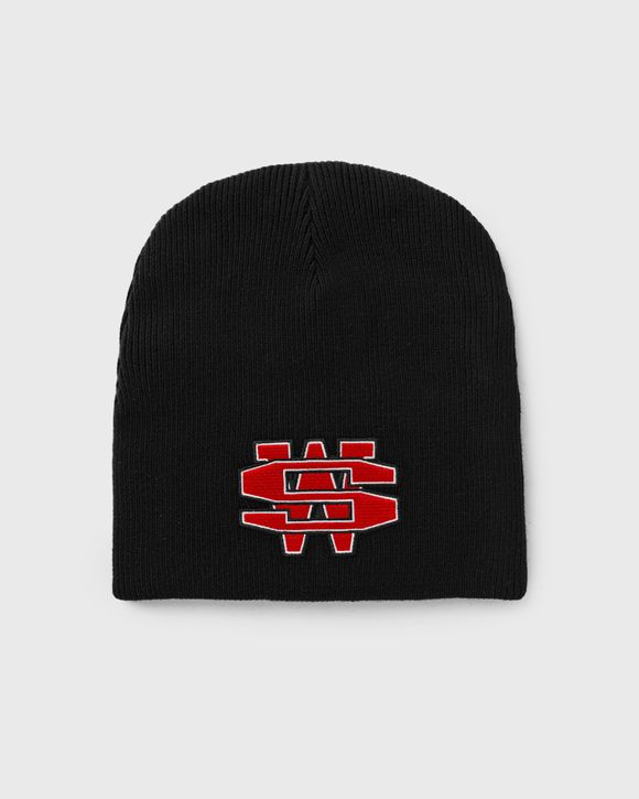 ONE DOLLAR BILL BEANIE