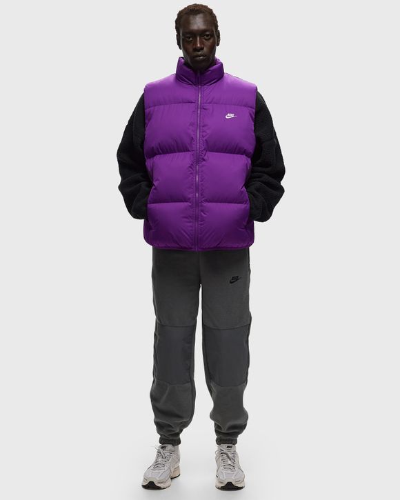 North face outlet vest purple