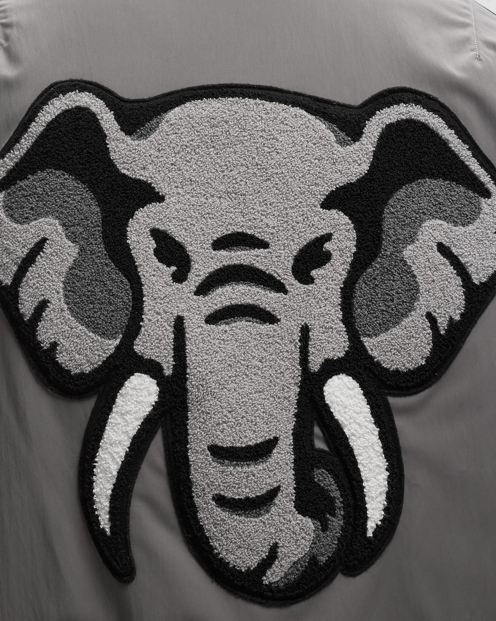 ELEVATED FLIGHT BOMBER