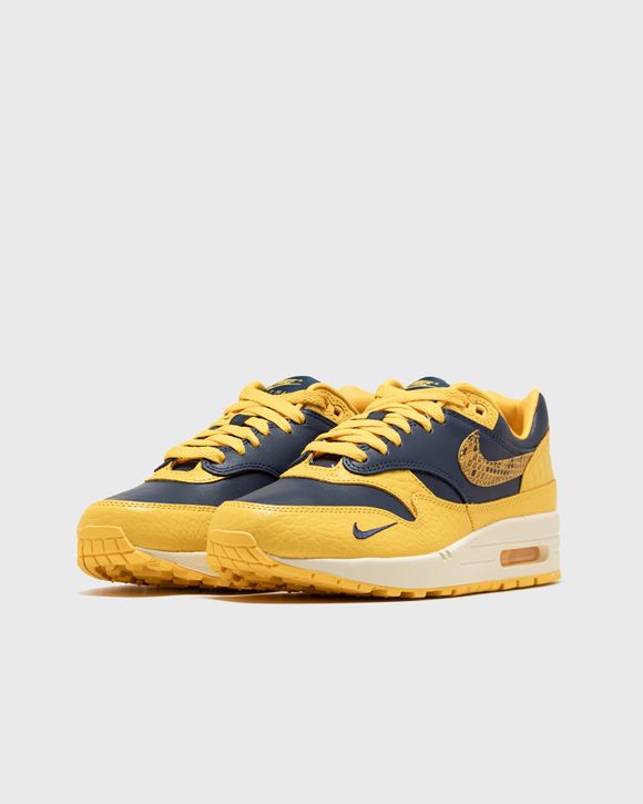 Nike air force max michigan best sale