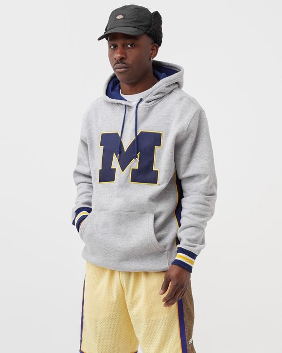 Hoodies and sweatshirts Mitchell & Ness Pinnacle Heavyweight Fleece Hoodie  Jazz Melange Grey