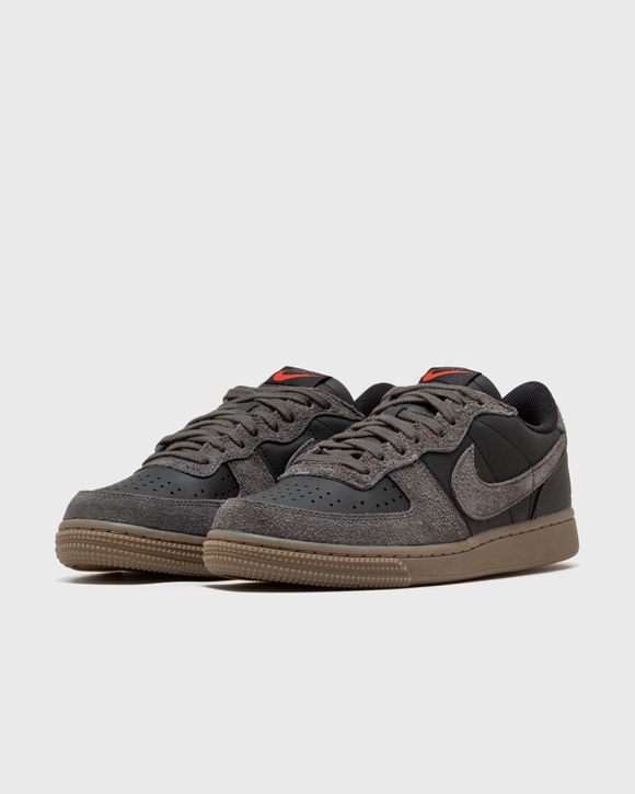 The Nike Terminator Low Surfaces in a Smokey Black and Medium Ash Color  Scheme