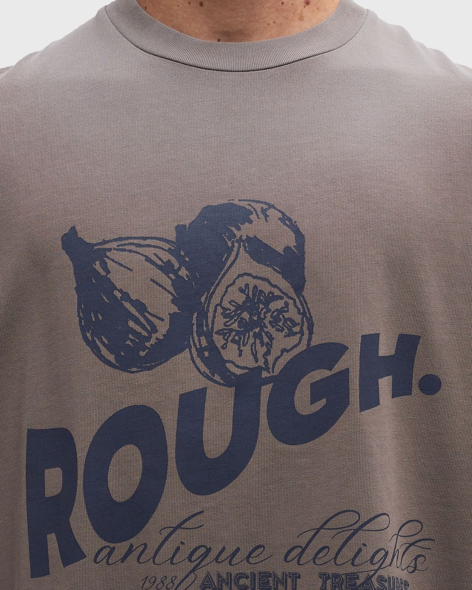 BLEACHED VINTAGE FIG Tee
