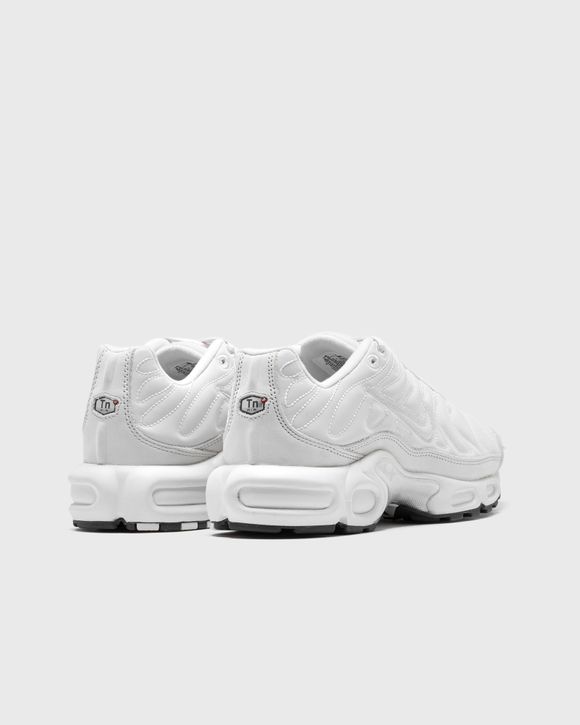 Nike WMNS AIR MAX PLUS Grey - PLATINUM TINT/PLATINUM TINT