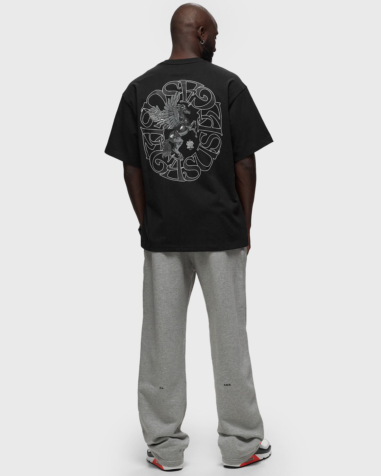 NRG PEGASUS SHORTSLEEVE TEE