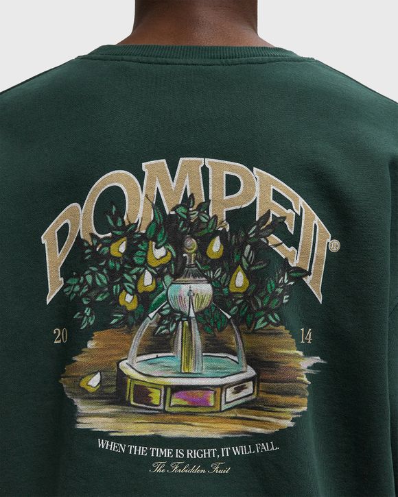 FOUNTAIN PINE GRAPHIC CREWNECK