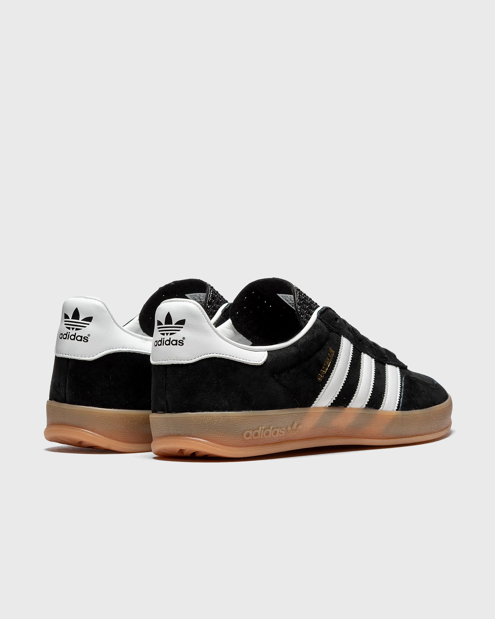 GAZELLE INDOOR