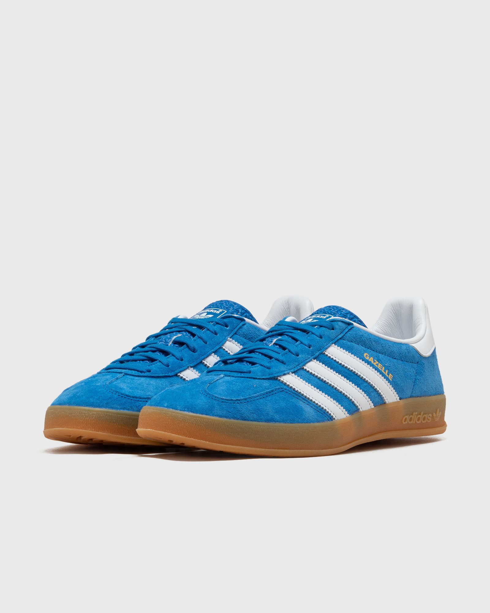 GAZELLE INDOOR