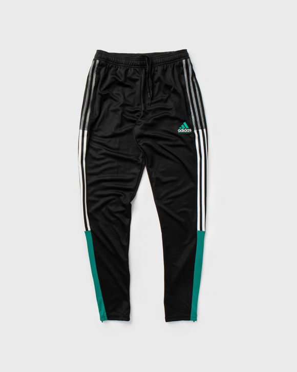 TIRO TRACK PANT