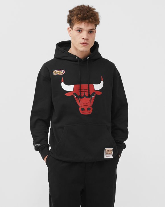 Mitchell & Ness Shorts 9” (Men Size L) Mesh NBA Chicago Bulls Logo Jordan  Black