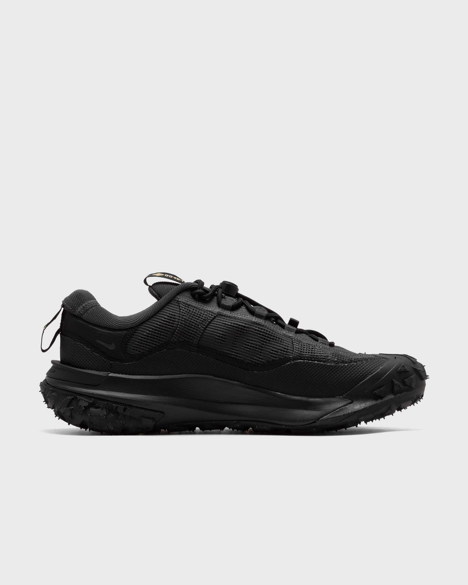 ACG MOUNTAIN FLY 2 LOW GTX