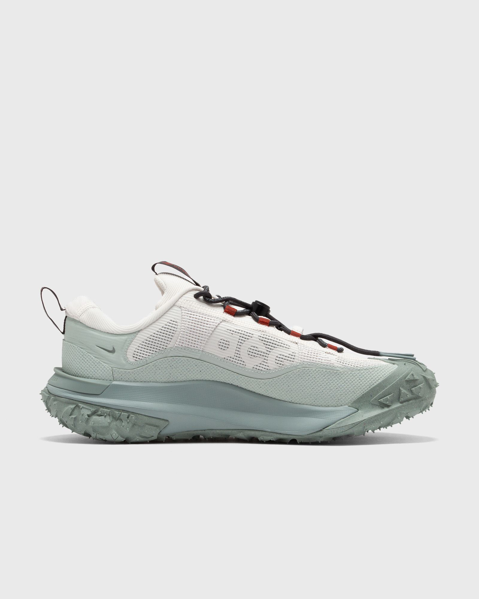 ACG MOUNTAIN FLY 2 LOW GTX