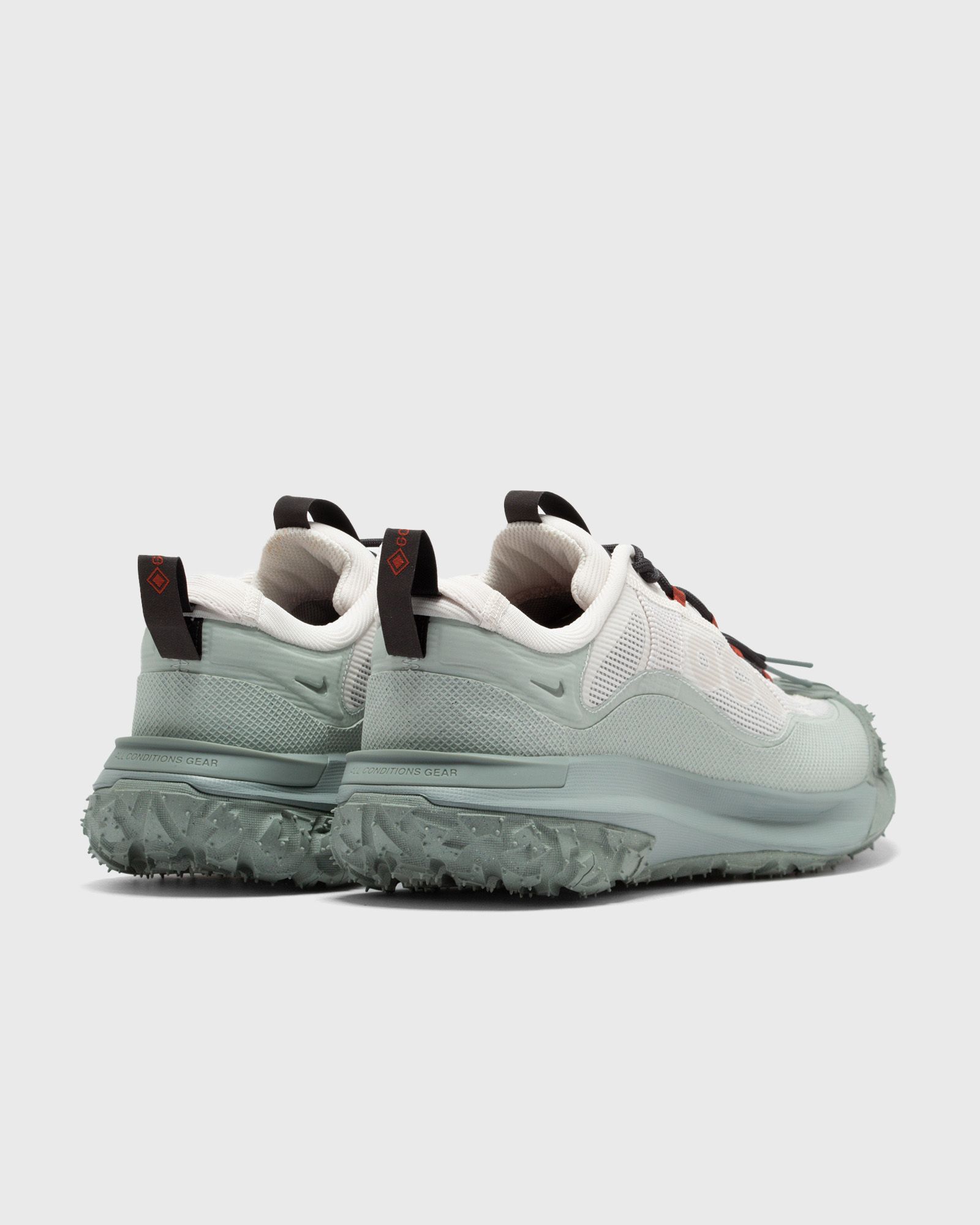 ACG MOUNTAIN FLY 2 LOW GTX