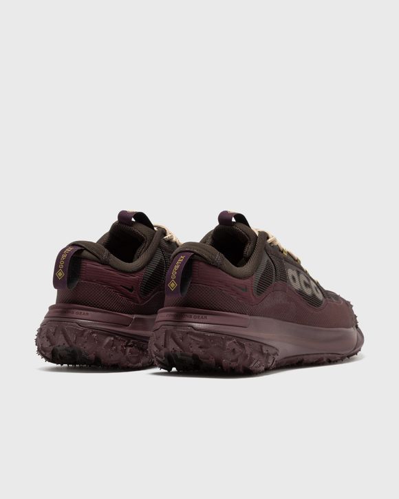 X ACG MOUNTAIN FLY 2 LOW GTX