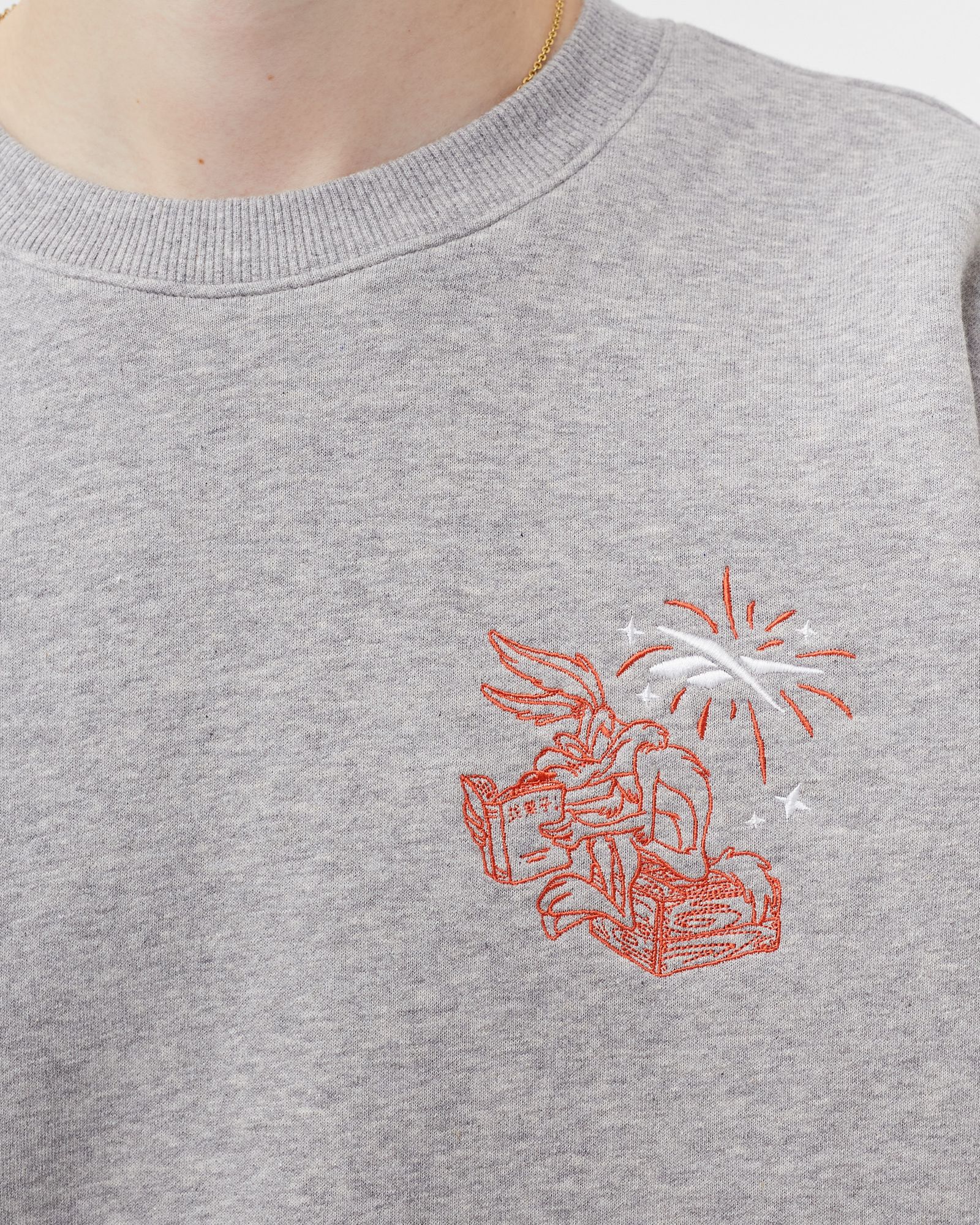 LOONEY TUNES CREWNECK