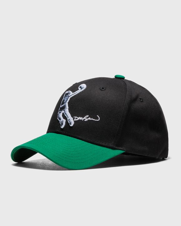 HIGHLIGHT REAL BROWN SNAPBACK HWC