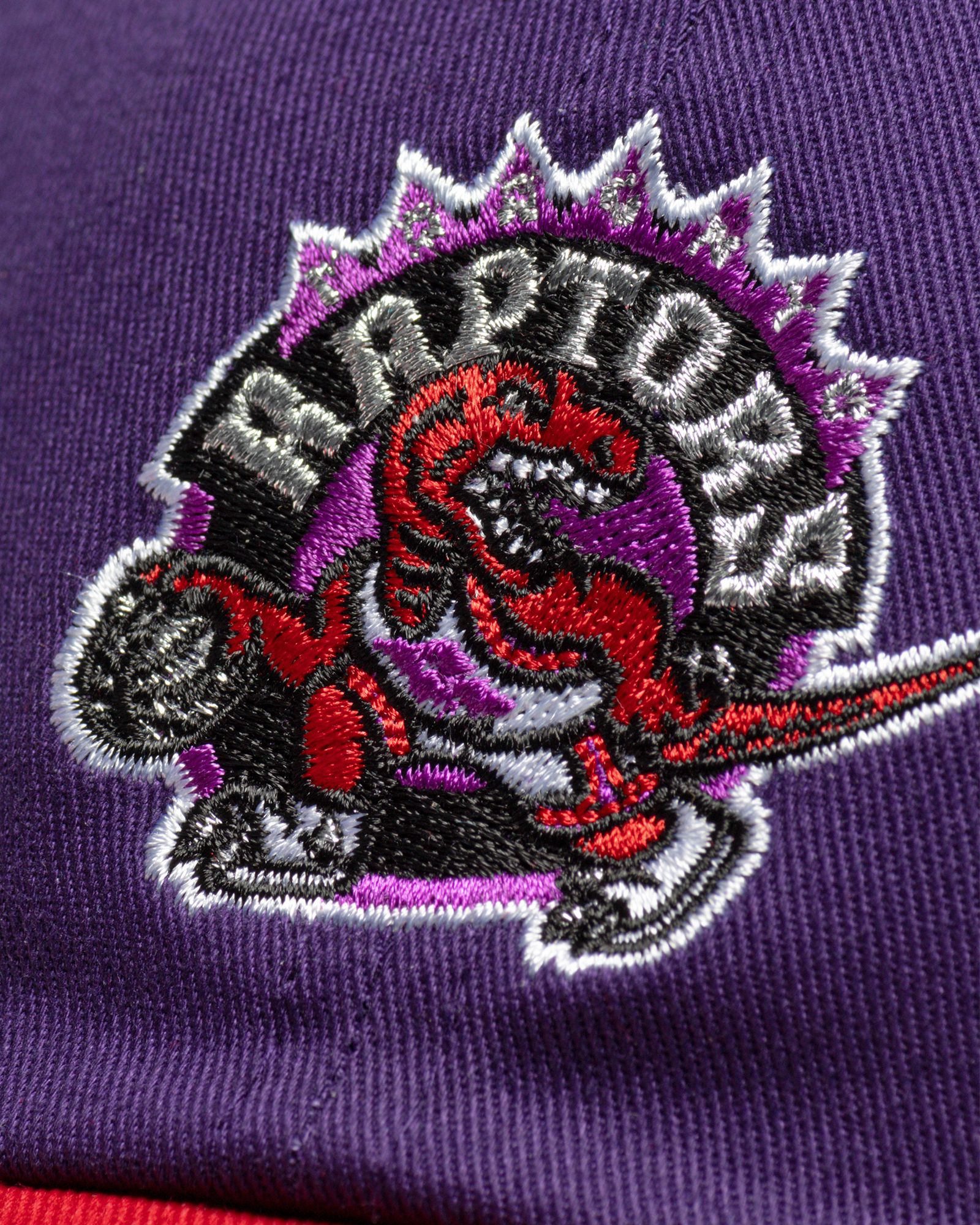 NBA TEAM 2 TONE 2.0 DAD STRAPBACK CAP HWC TORONTO RAPTORS