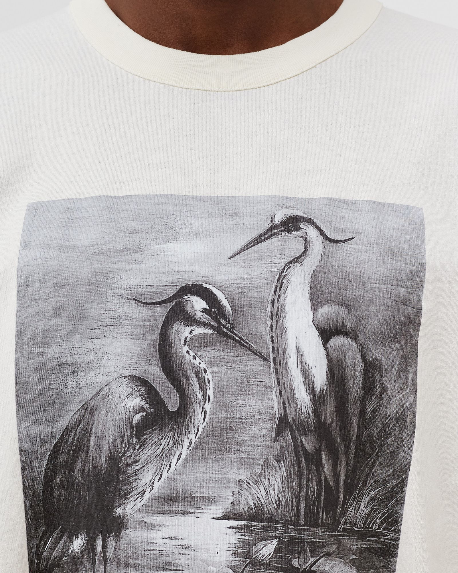 NF HERON BW SHORTSLEEVE TEE 