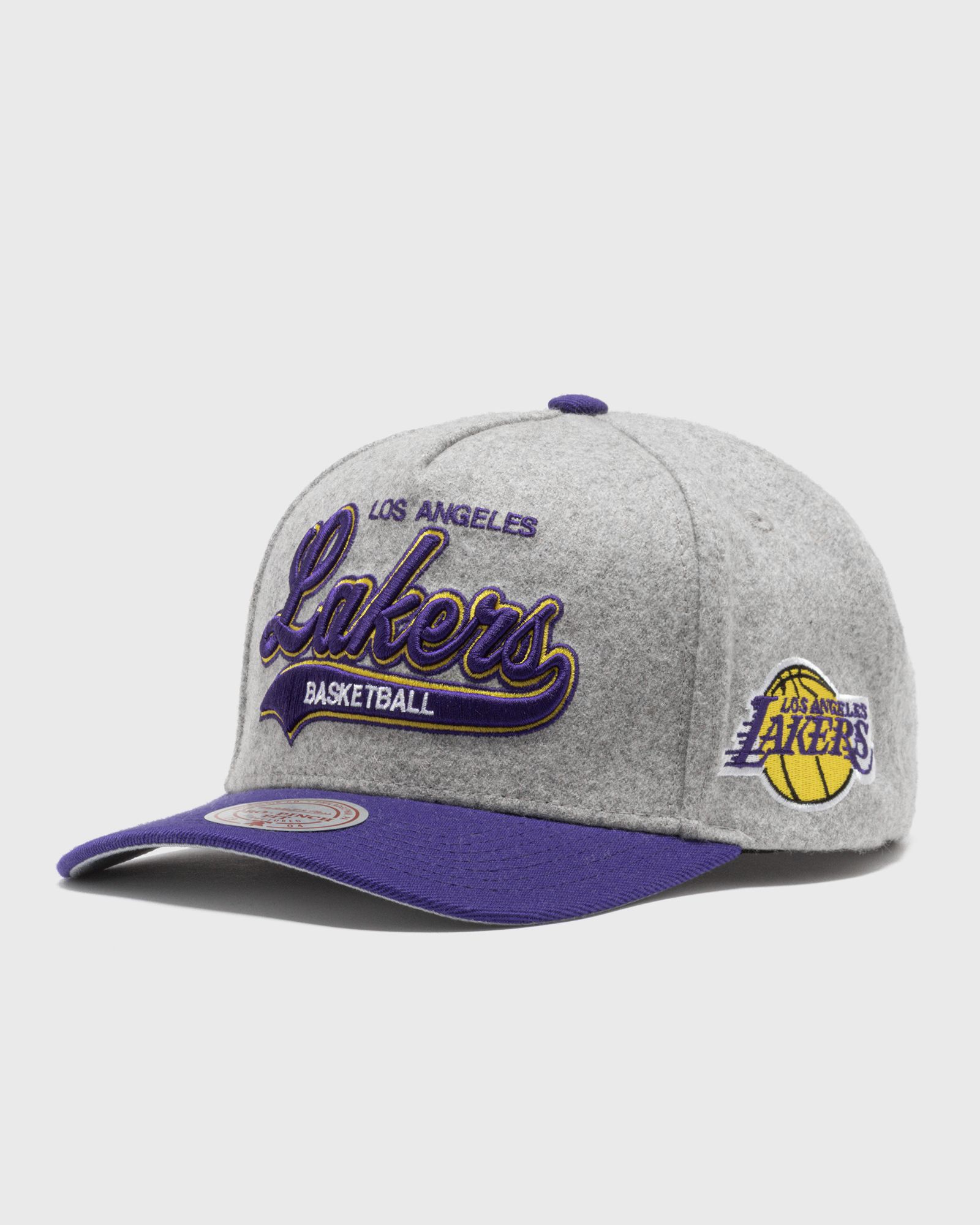 Mitchell & Ness Mitchell & Ness NBA TAILSWEEPS PRO SNAPBACK LOS ANGELES LAKERS in grey