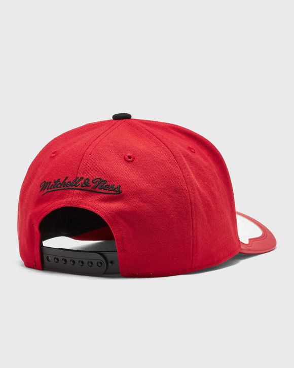 NBA DAY ONE CHICAGO BULLS PRO SNAPBACK