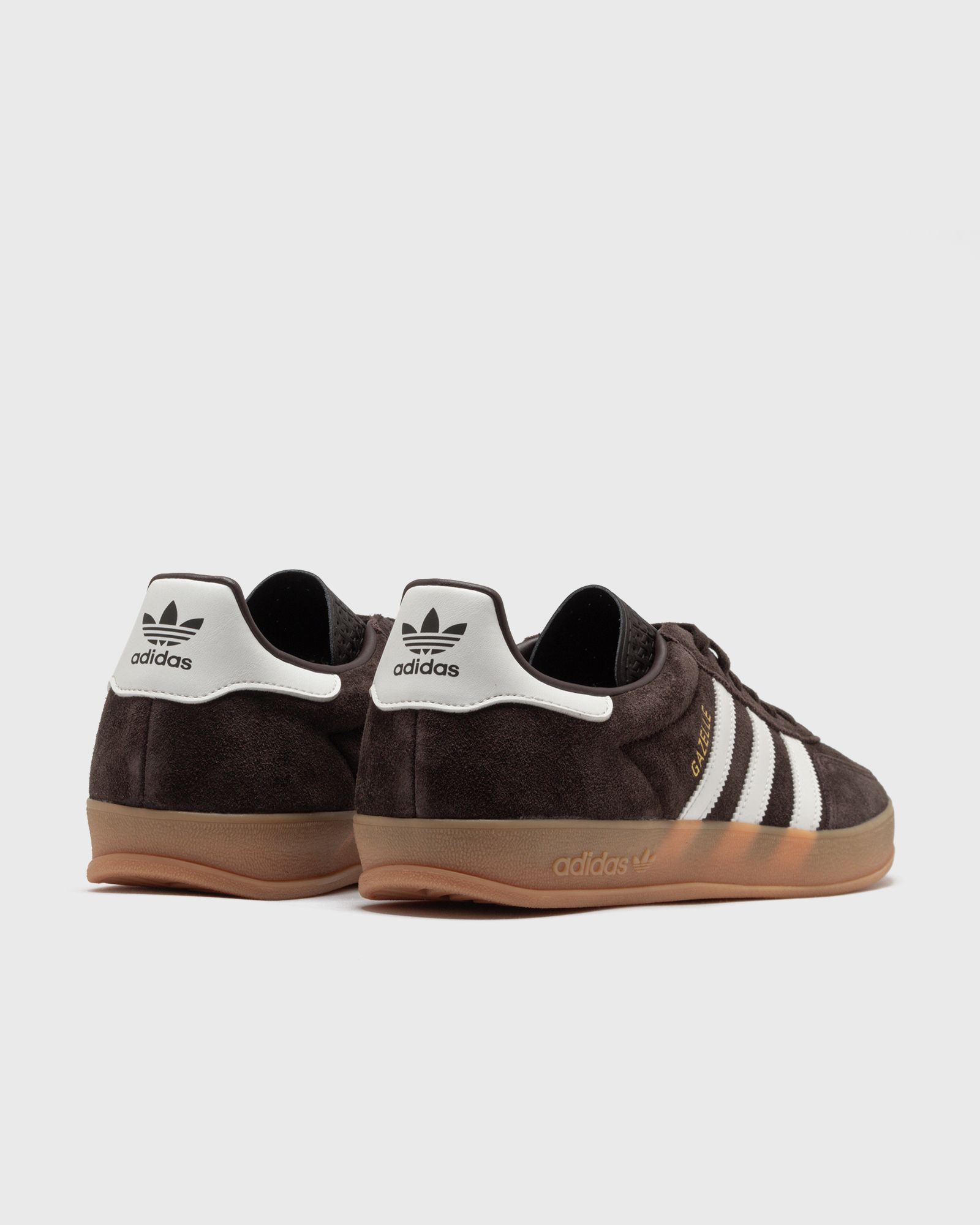 GAZELLE INDOOR