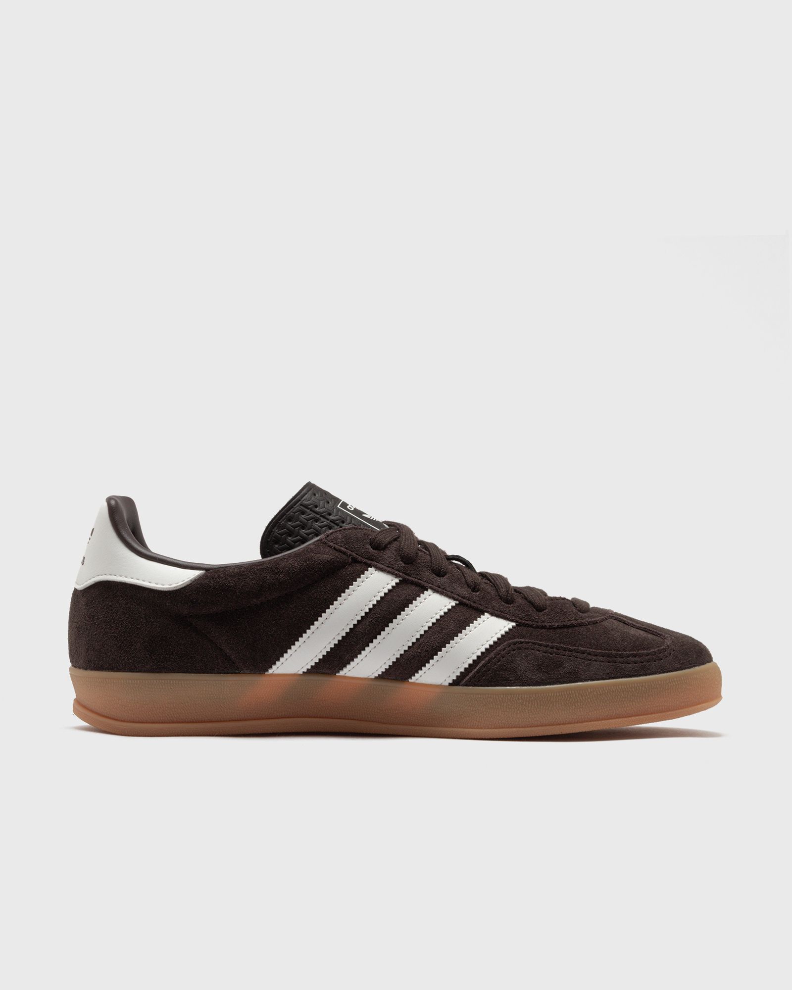 GAZELLE INDOOR