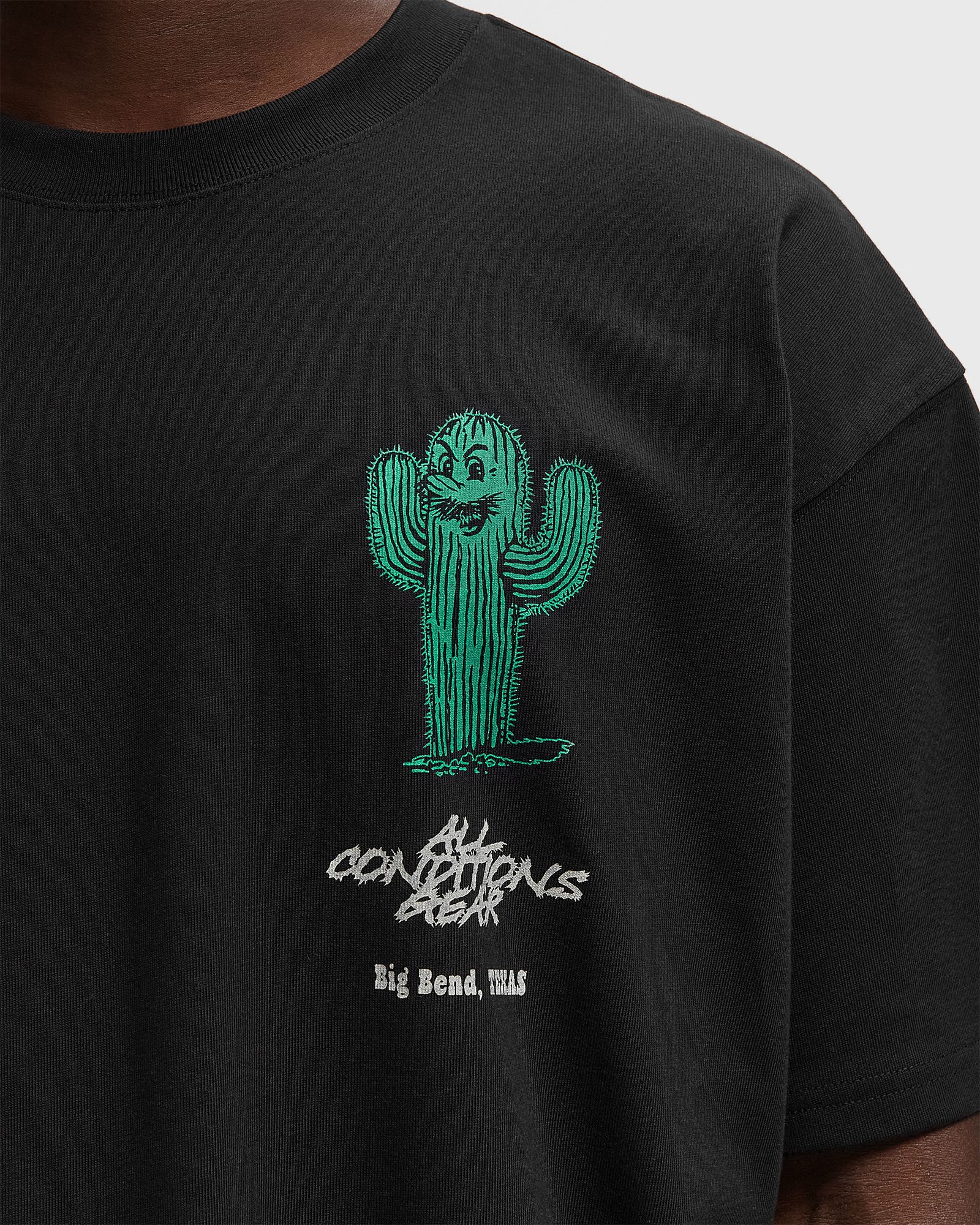 ACG TEE OC CACTUS