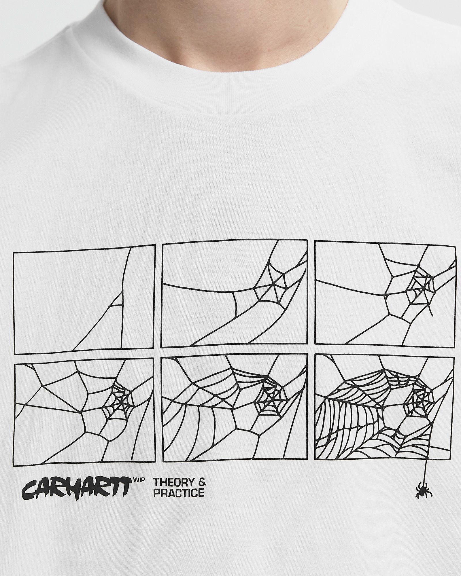 S/S Theory And Practice T-S