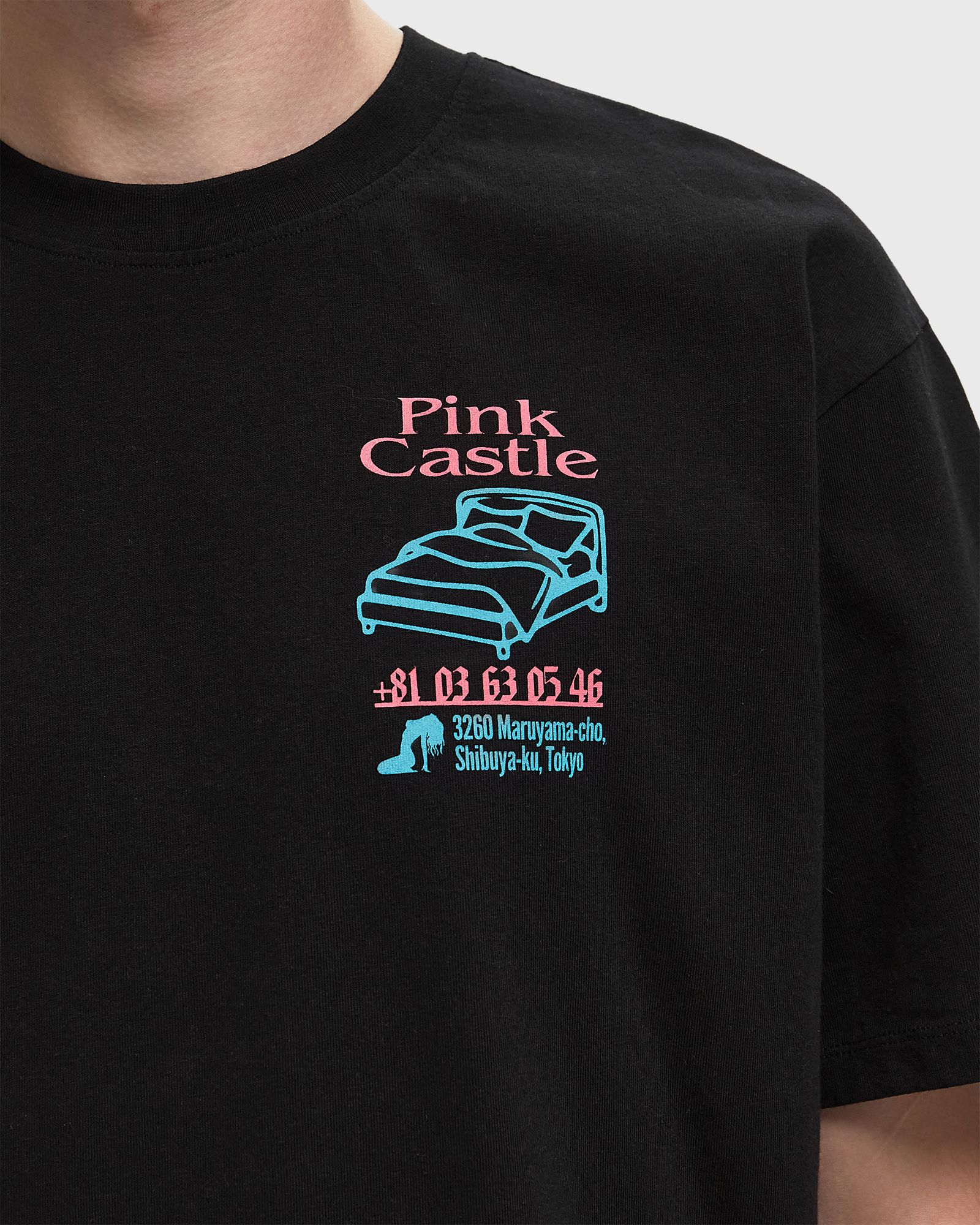 Pink Castle TS