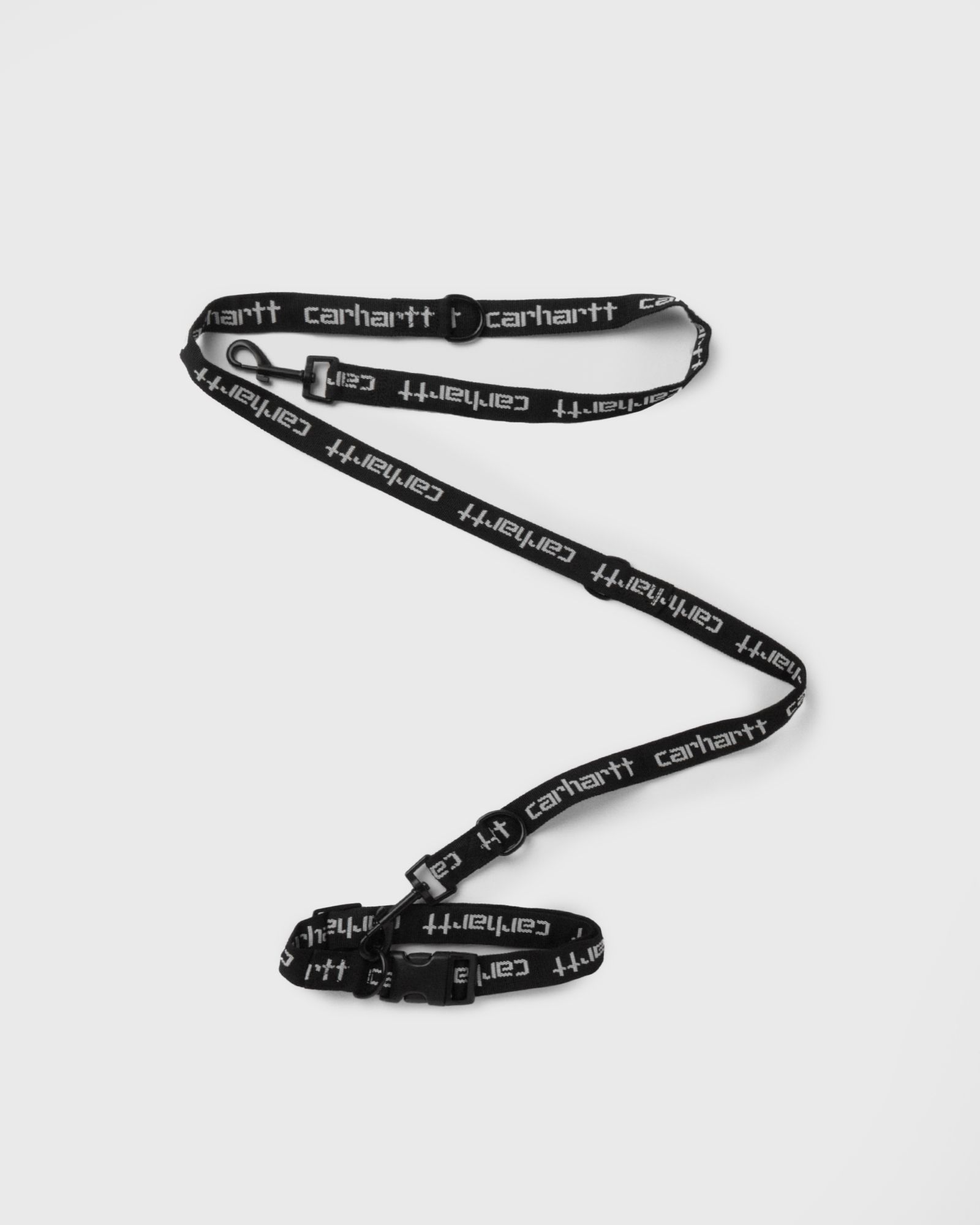 Script Dog Leash & Collar